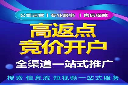 行业标杆：SEM托管公司案例解析